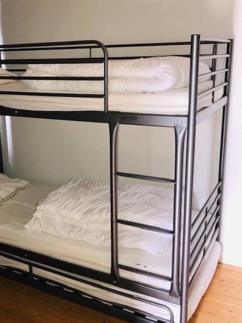 Tjaellets Fjaellgard Hostel Transtrand Kültér fotó
